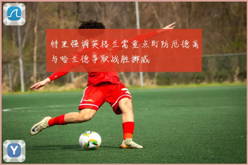 特里强调英格兰需重点盯防厄德高与哈兰德争取战胜挪威